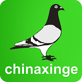 中国信鸽信息网正版下载