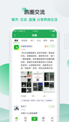 中国信鸽信息网正版下载
