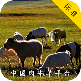 中国肉类网app下载地址