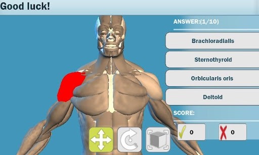 Easy Anatomy 3D2023手机版