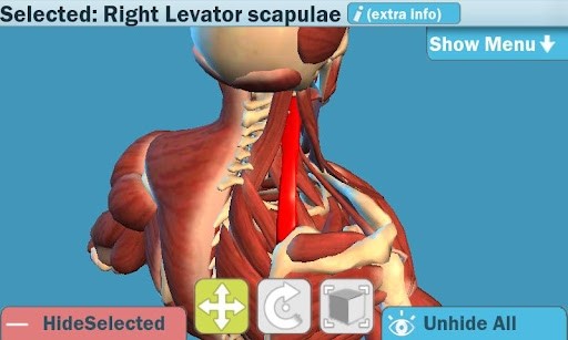 Easy Anatomy 3D2023手机版