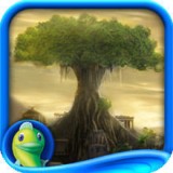 不凋旅途生命之树官方版app