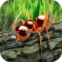 蚂蚁生存模拟器最新版下载