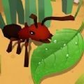 蚂蚁进化模拟器app安卓版