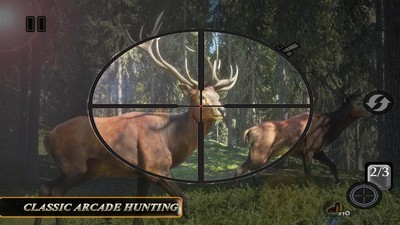 荒野动物狩猎最新版官网