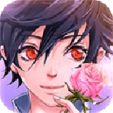 蔷薇梦想九游版最新版手机游戏下载