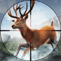 荒野动物狩猎最新版官网