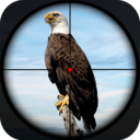 鸟类猎人狙击手游戏官方版